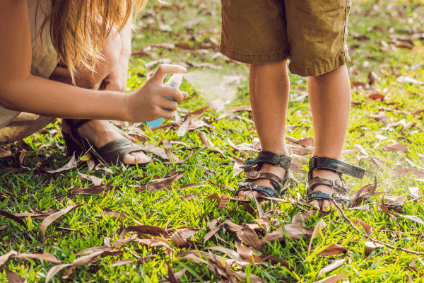 Homemade Bug Spray With Essential Oils