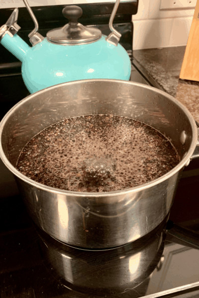 homemade elderberry syrup