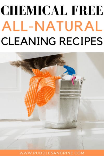 homemade all purpose cleaner