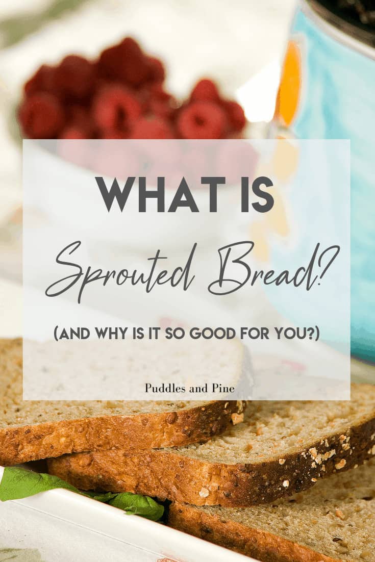 What Are Sprouted Grains?