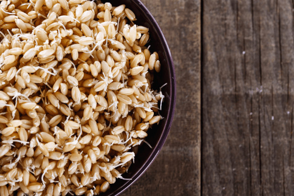 what are sprouted grains?
