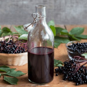 diy elderberry syrup