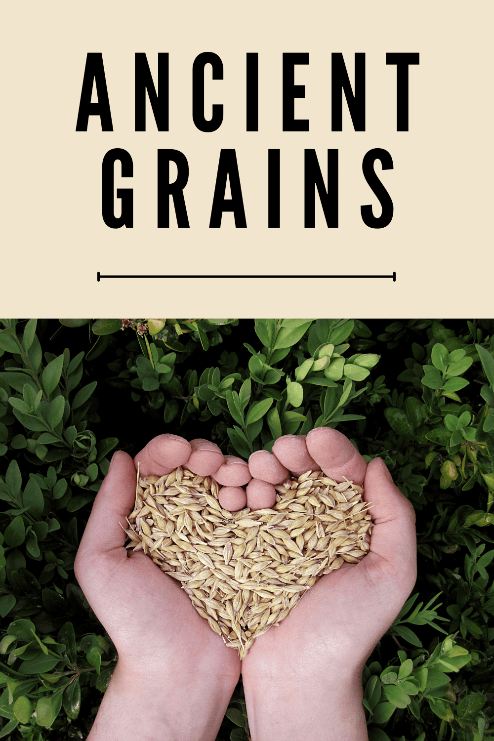 What Are Ancient Grains?