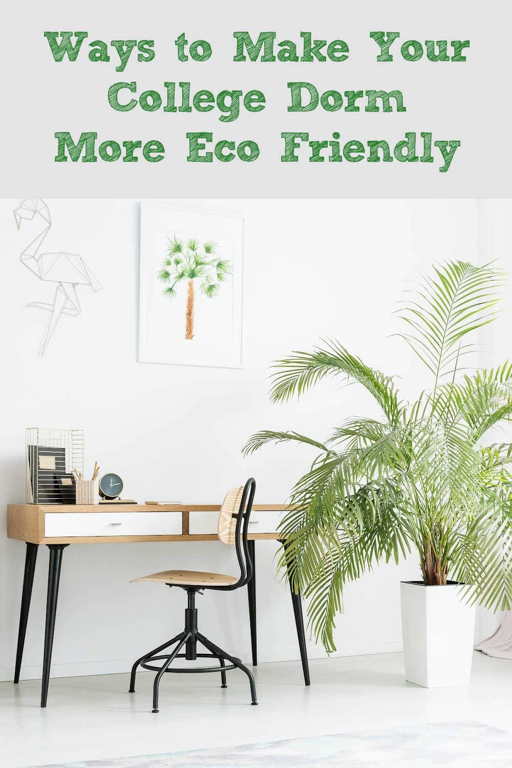 Snapshot of Simple Ways To Be Eco Friendly In College Dorms