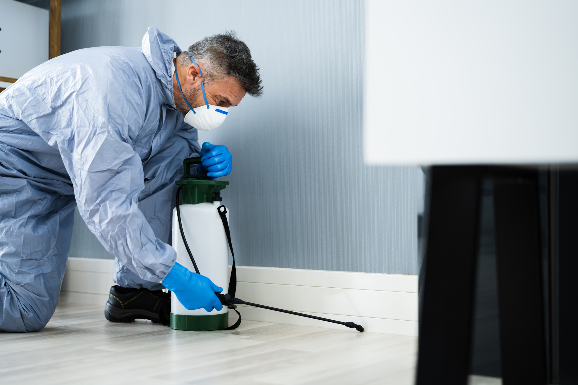 Practical Strategies to Prevent Cockroach Infestations at Home
